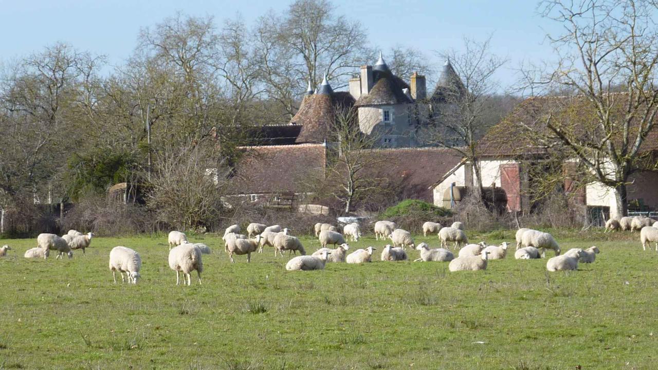 Le Logis Alexandra Bnb La Trimouille Экстерьер фото